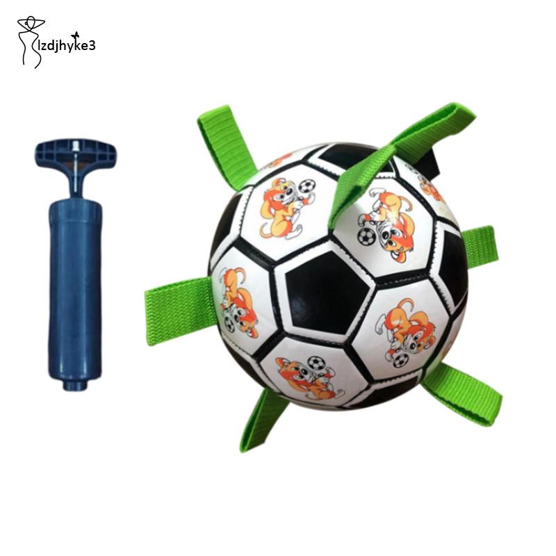 Đồ Chơi Bóng Đá 6 Inches lzdjhyke3 Độc Đáo Thú Vị Dành Cho Cún Cưng