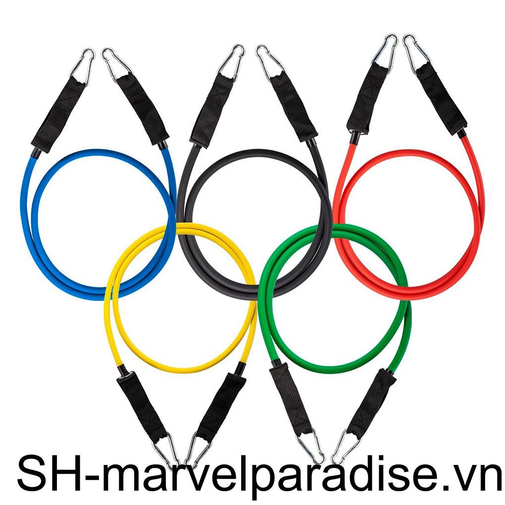 Set 11 Dây Kéo Tập Gym Chịu Lực 100lbs Có Thể Tái Sử Dụng