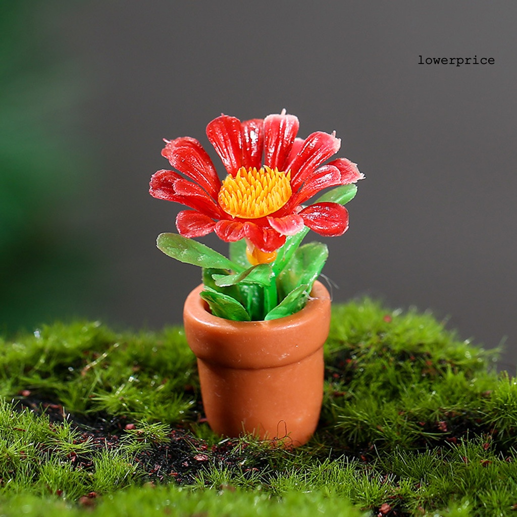 1 Bộ Mô Hình Chậu Cây Mini Bằng Nhựa Resin Dùng Trang Trí Tiểu Cảnh