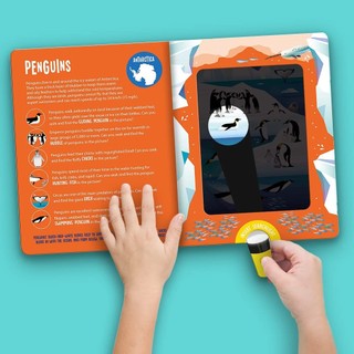 Seek And Find Animals (Seek & Find - Searchlight Books)