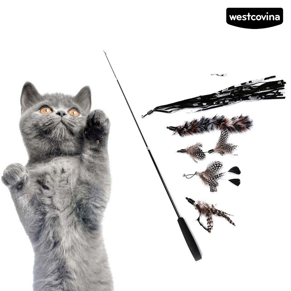 [COD]♞Set 6 Gậy Lông Vũ 3 Khúc Có Thể Thu Gọn Thay Thế Cho Mèo Cưng