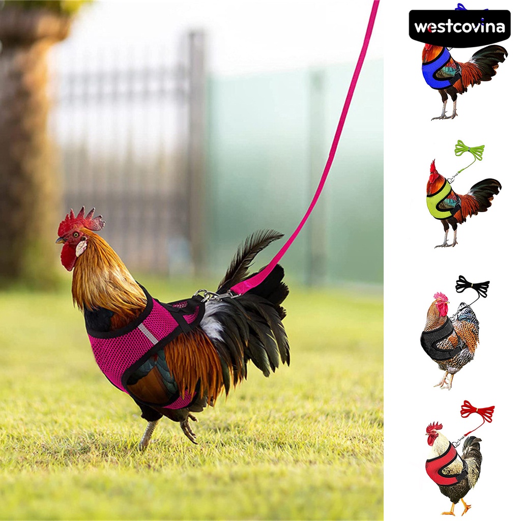 [COD]♞1 Bộ Dây Đai Dắt Gà / Vịt Thoáng Khí Tùy Chỉnh Tiện Dụng Cho Sân Vườn