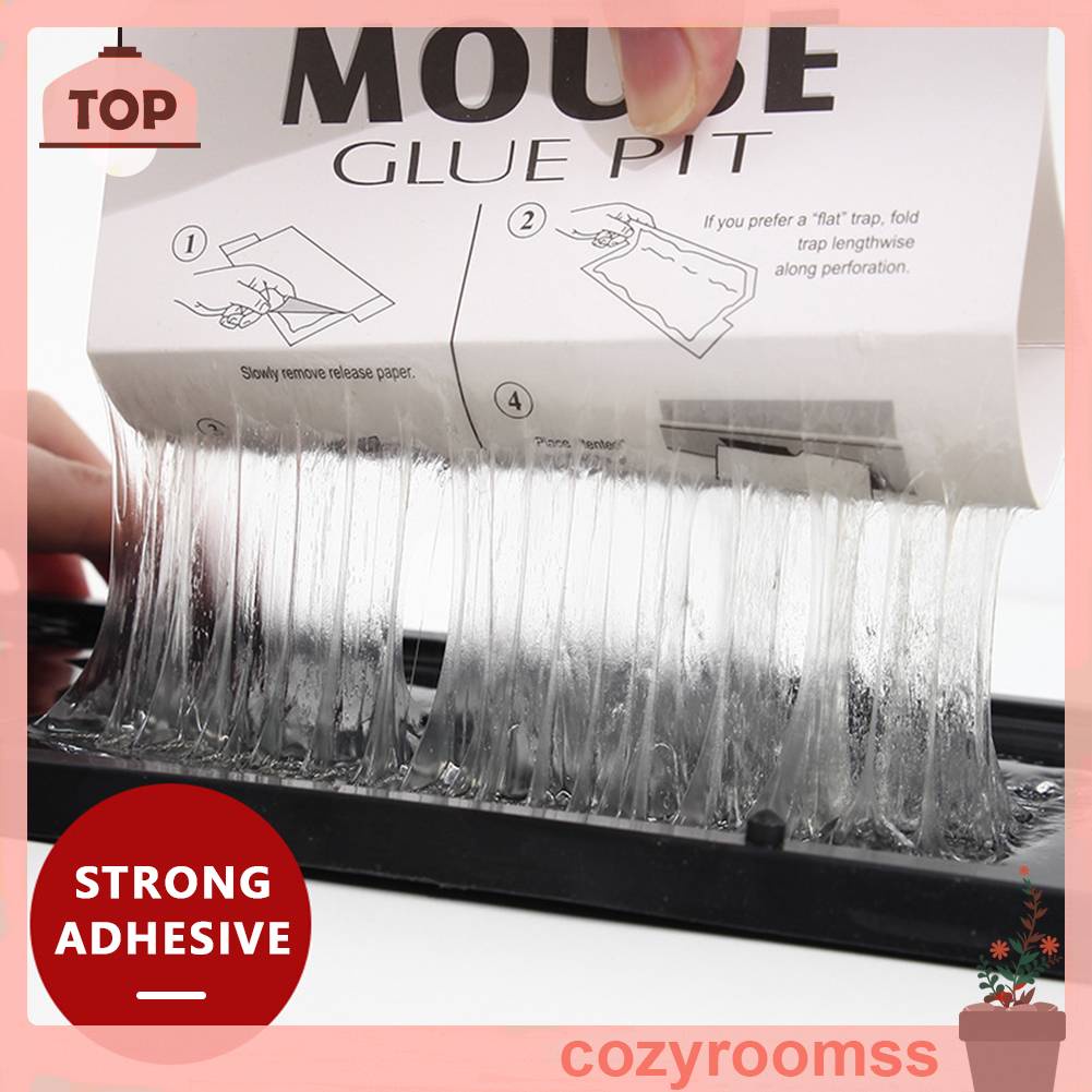 Bẫy Chuột Không Độc Hại Trọng Lượng Nhẹ Cho Nhà Ở / Ngoài Trời