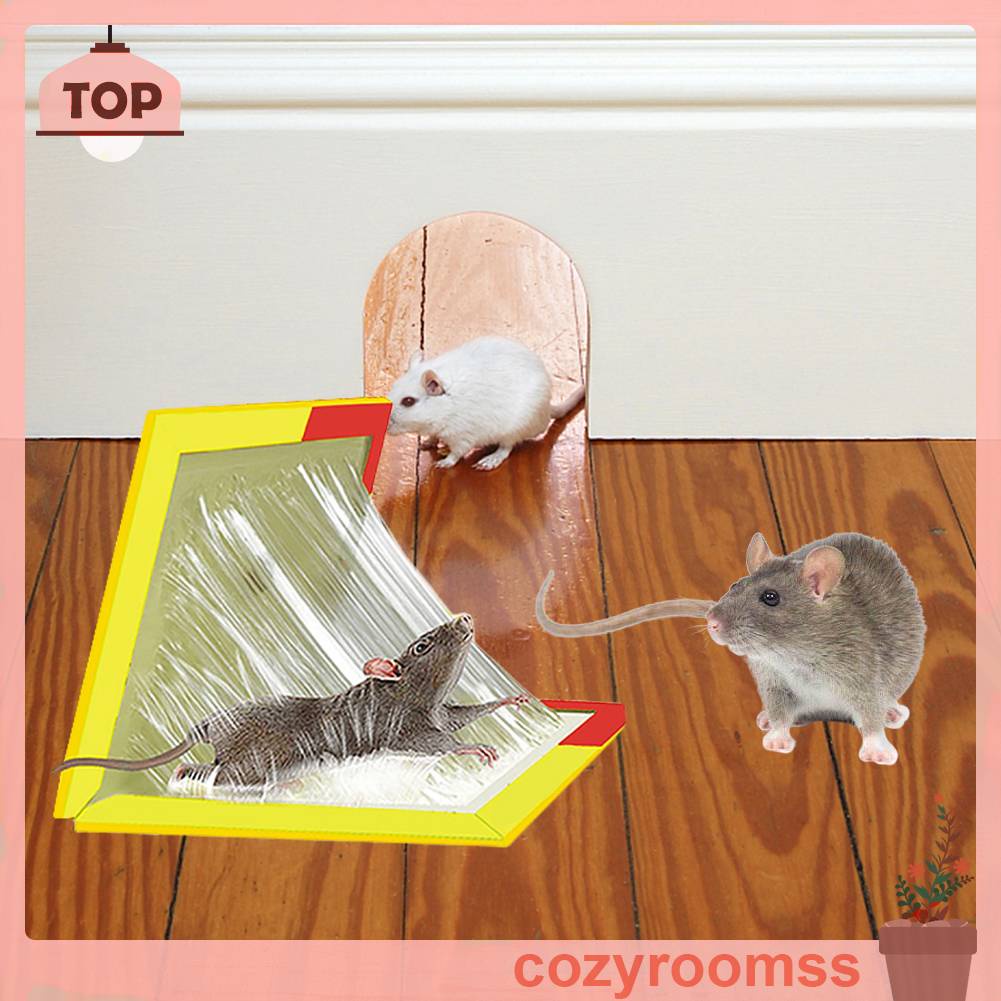 Giấy Dán Hình Chuột Bắt Giấc Mơ Trang Trí Nhà Bếp / Văn Phòng