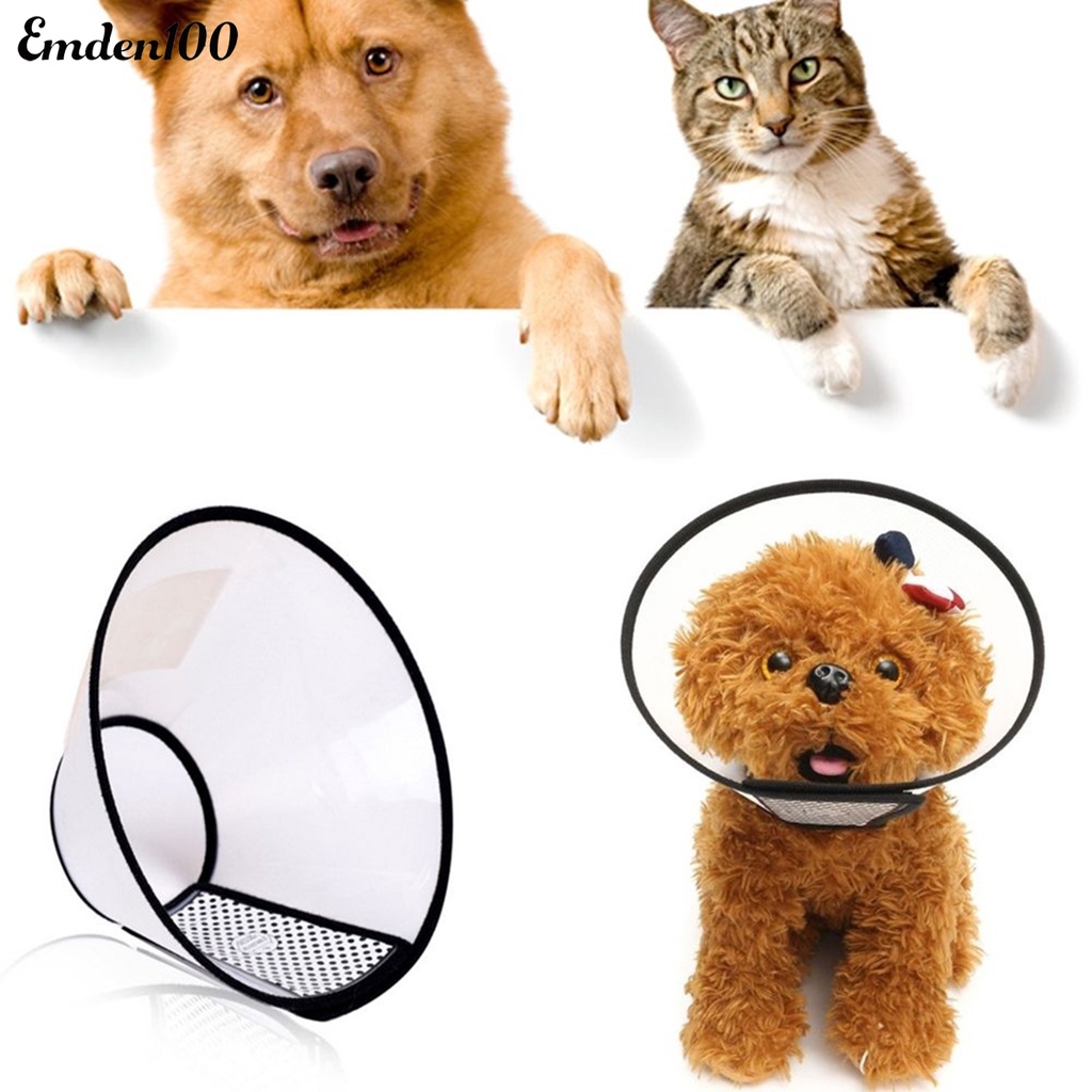 Vỏ Bọc Cổ Bằng Nhựa Chống Liếm An Toàn Cho Thú Cưng