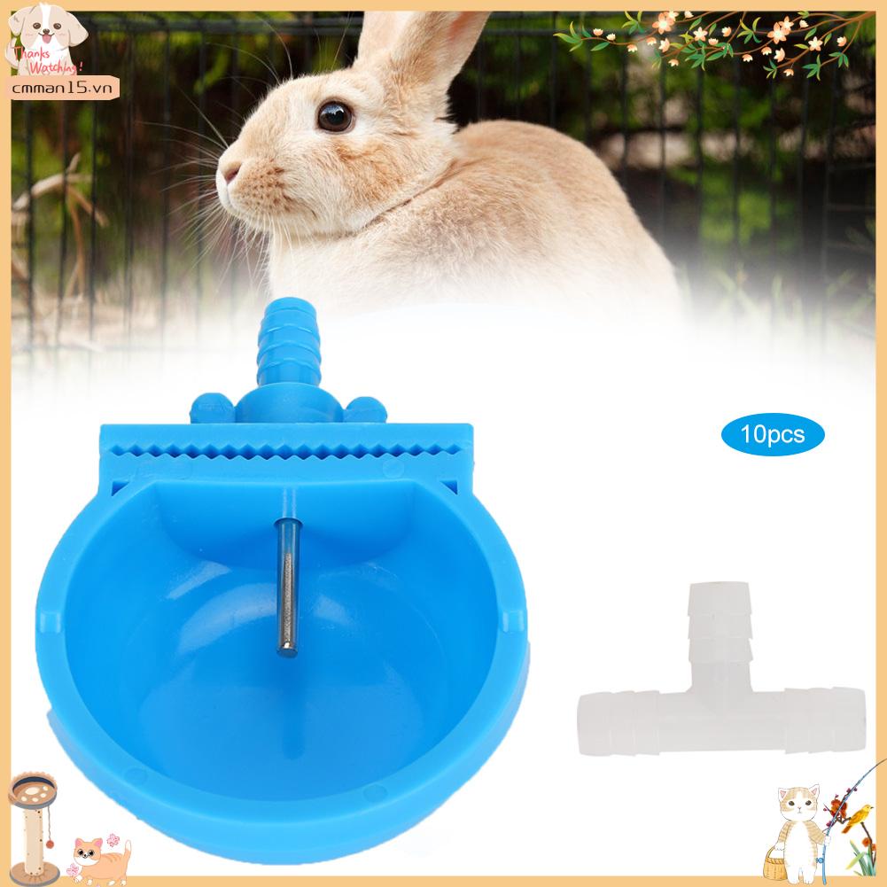Phổ biến 10 Cái Đài phun nước hình thỏ Bát uống chống cắn 3 Way Feeder Waterer