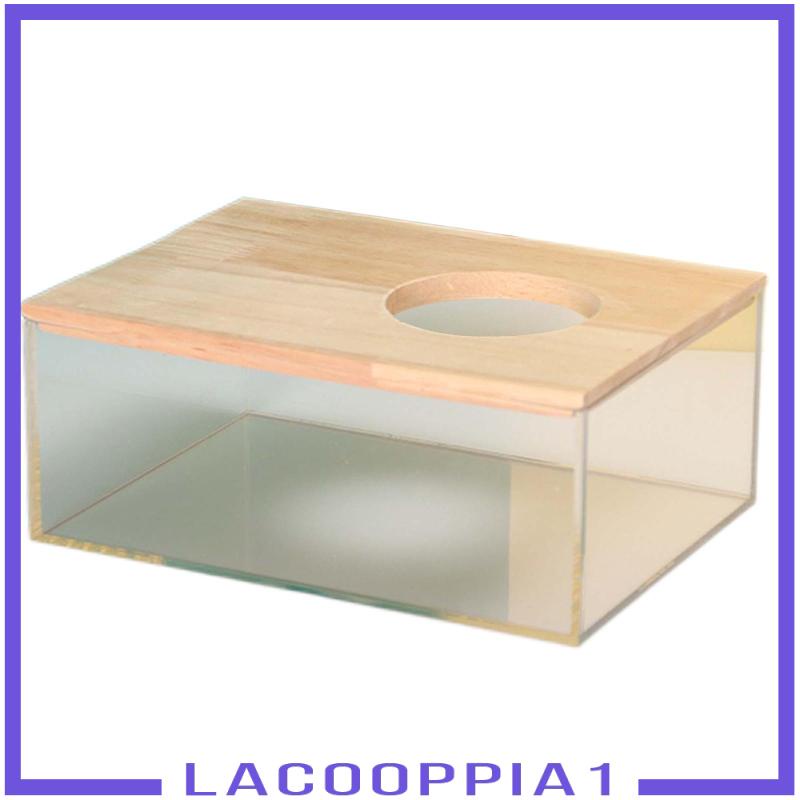 Hộp Tắm Cát Cho Chuột Hamster