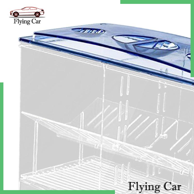 Hộp Nuôi Cá Dễ Sử Dụng Cho Văn Phòng Guppy Betta