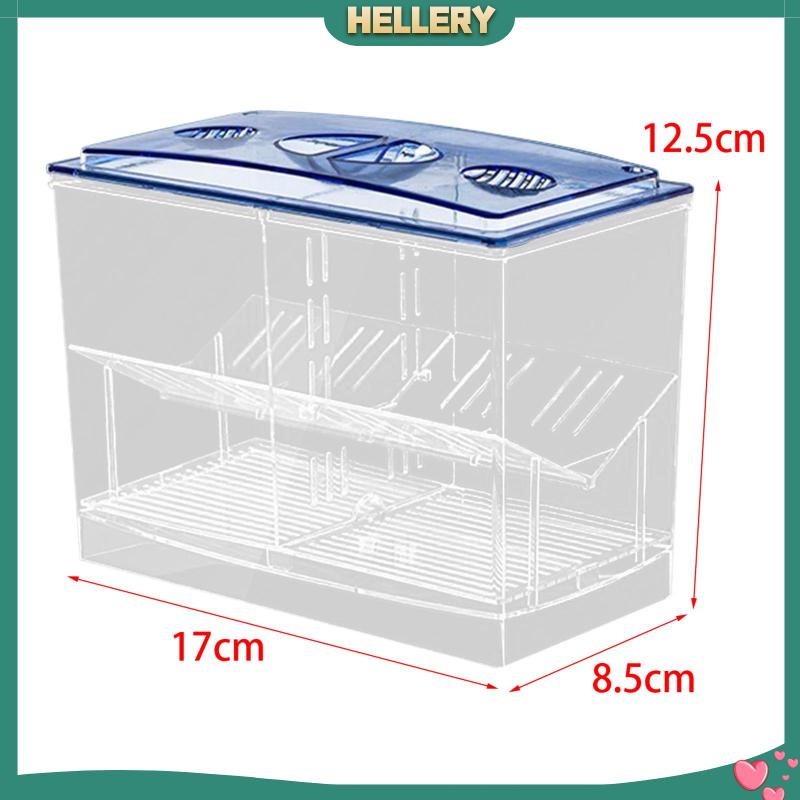 Hộp Nuôi Cá Dễ Sử Dụng Cho Văn Phòng Guppy Betta