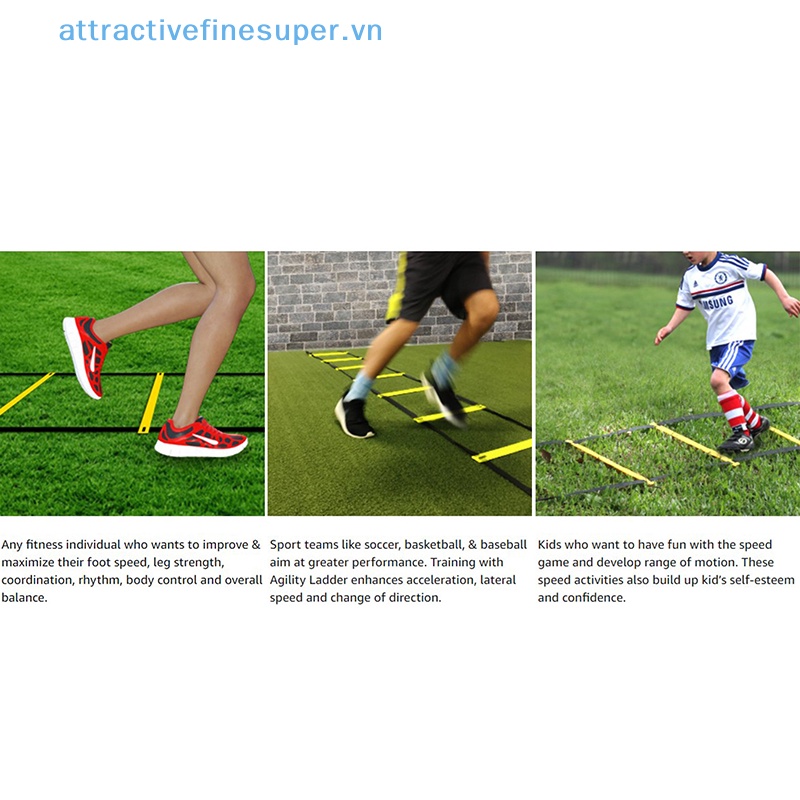 Phụ Kiện Thang Dây Hỗ Trợ Luyện Tập Thể Thao