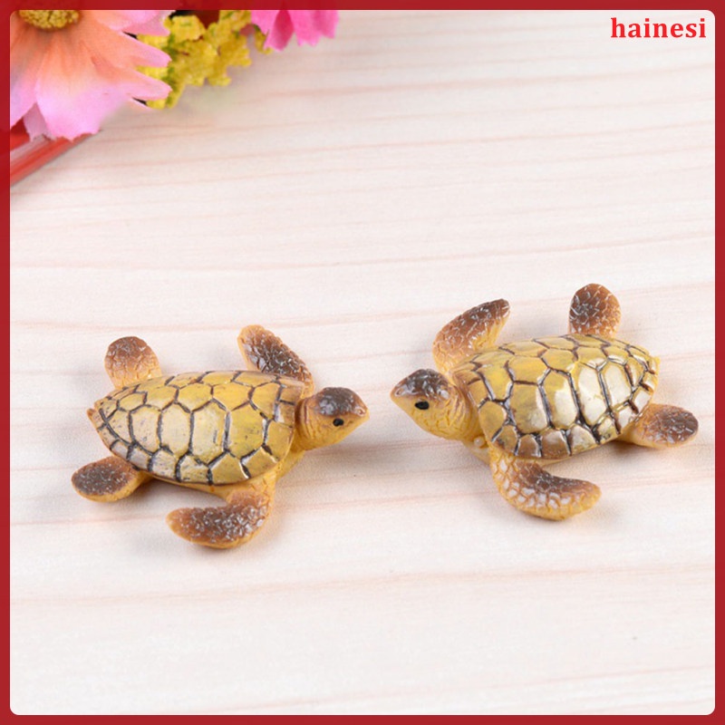 Set 6 Tượng Rùa Mini Trang Trí Tiểu Cảnh