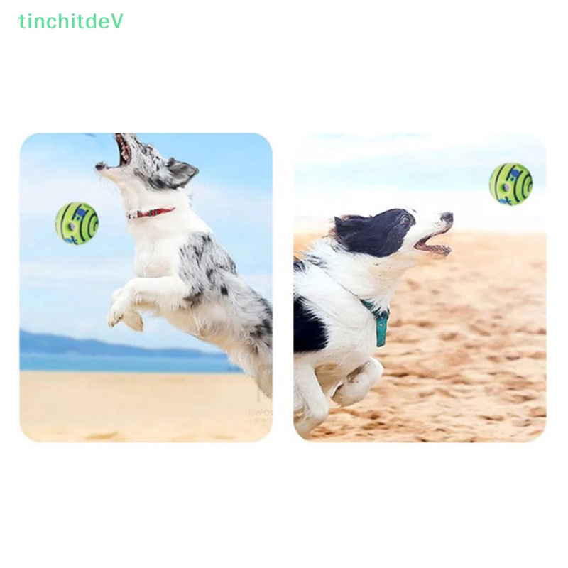 [TinchitdeV] Đồ Chơi Huấn Luyện Thú Cưng Có Âm Thanh Vui Nhộn [Mới]