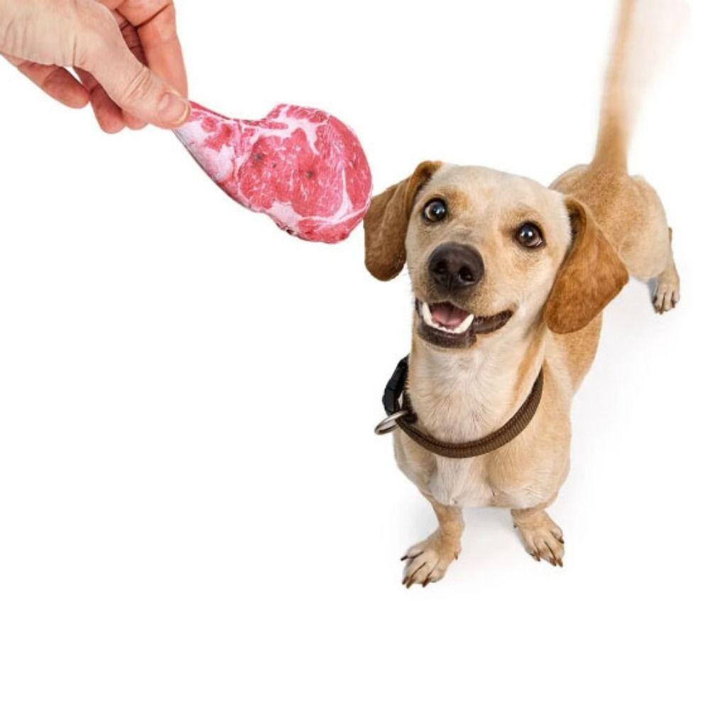 GIOVANNI Steak Đồ Chơi Mô Phỏng Bằng Cotton Oxford Chống Cắn Làm Sạch Răng Cho Thú Cưng