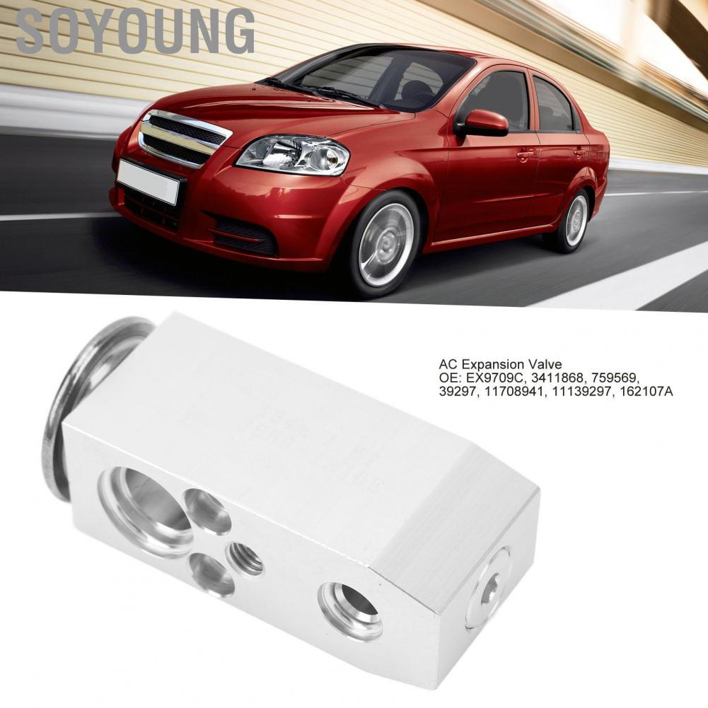 Soyoung 3411868  Reliable Lightweight High Efficiency AC Expansion Valve Front for Cars