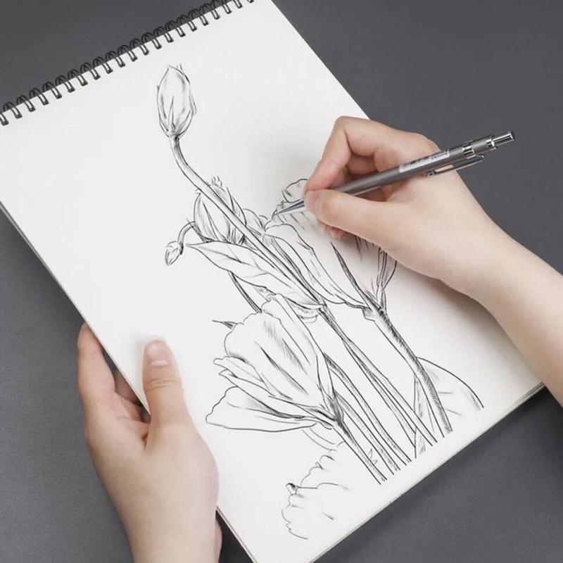 Bút chì kim 0.5mm chính hãng Deli