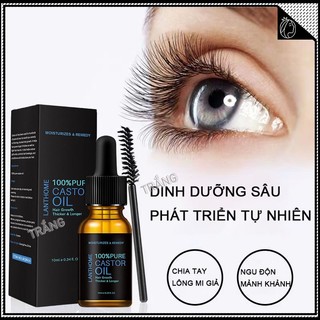 Dầu thầu dầu dưỡng mi dày tự nhiên và không dày tinh chất phục hồi mi tinh chất chống rụng