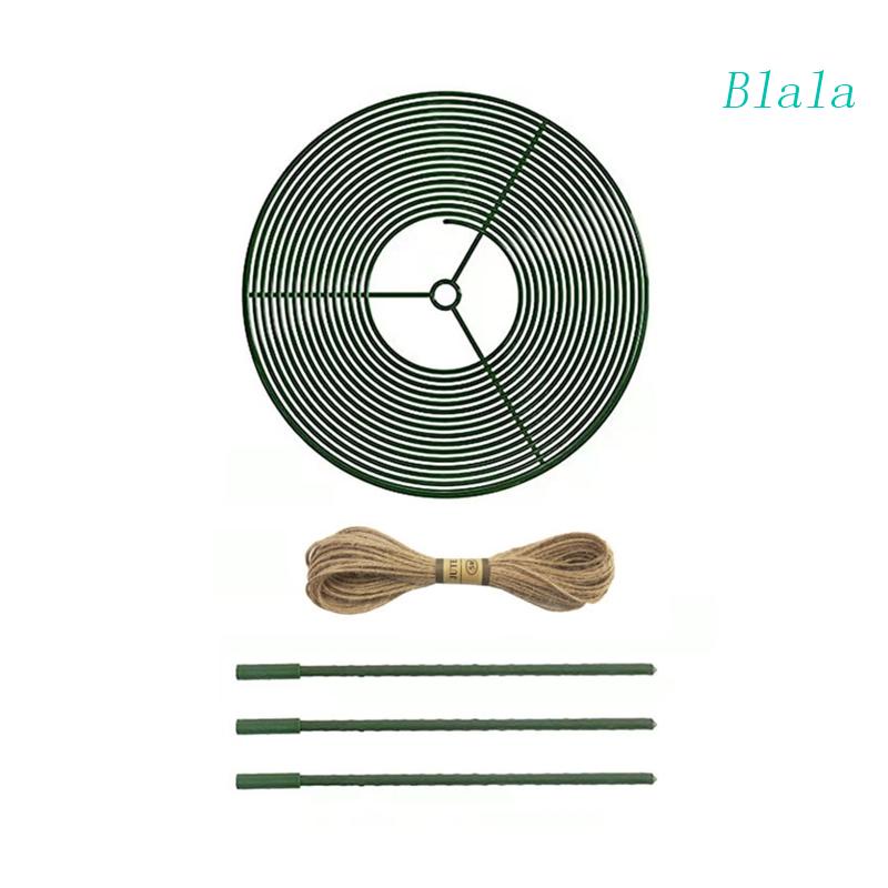 Giá Đỡ Hỗ Trợ Trồng Cây Dây Leo Bằng Kim Loại Tiện Dụng