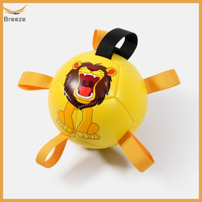 Bóng Đá Đồ Chơi Đa Năng Dành Cho Chó Cỡ Nhỏ / Vừa / Lớn