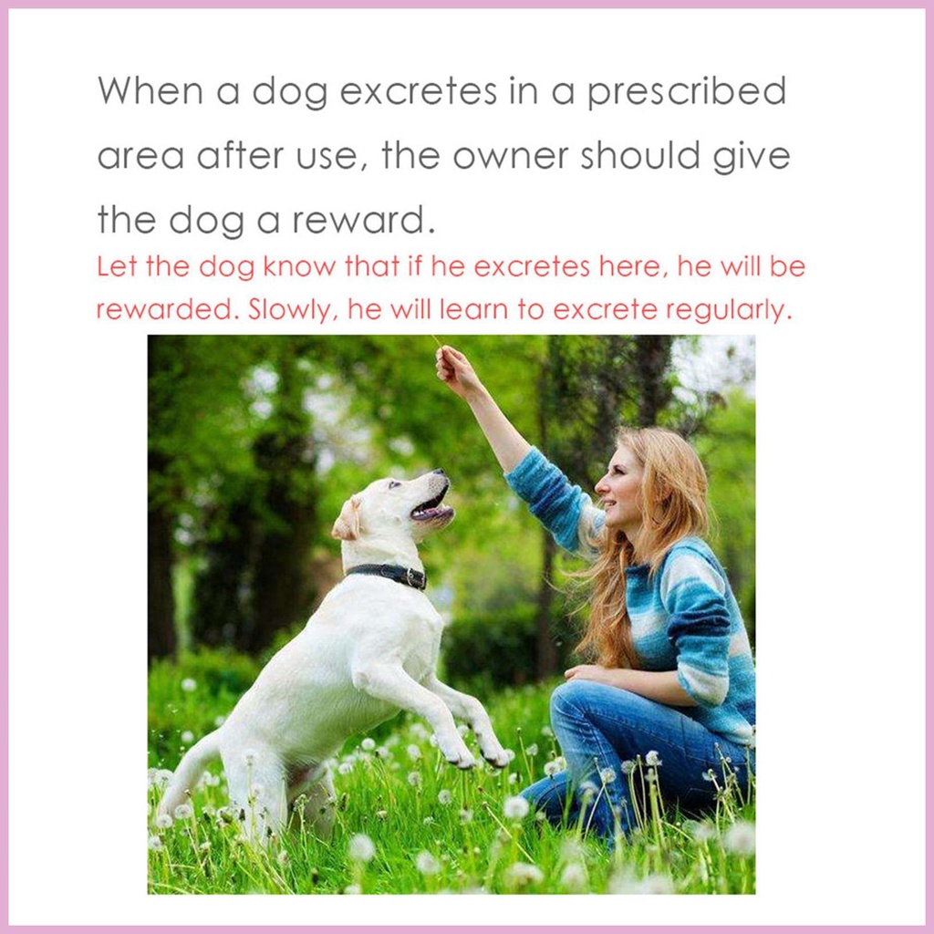 Dung Dịch Huấn Luyện Thú Cưng Đi Vệ Sinh 30Ml