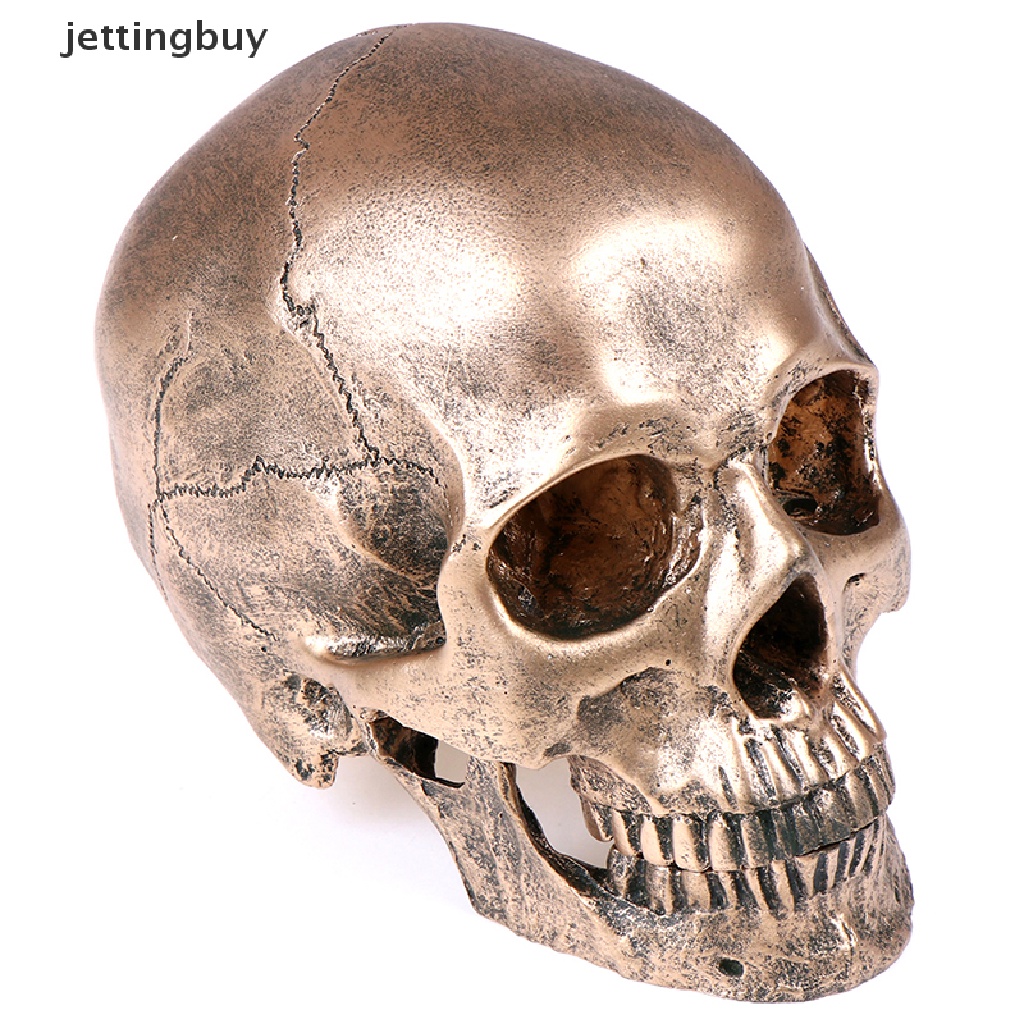 Mô Hình Đầu Lâu Bằng Nhựa Resin Đồng Tỉ Lệ 1: 1 Trang Trí Halloween