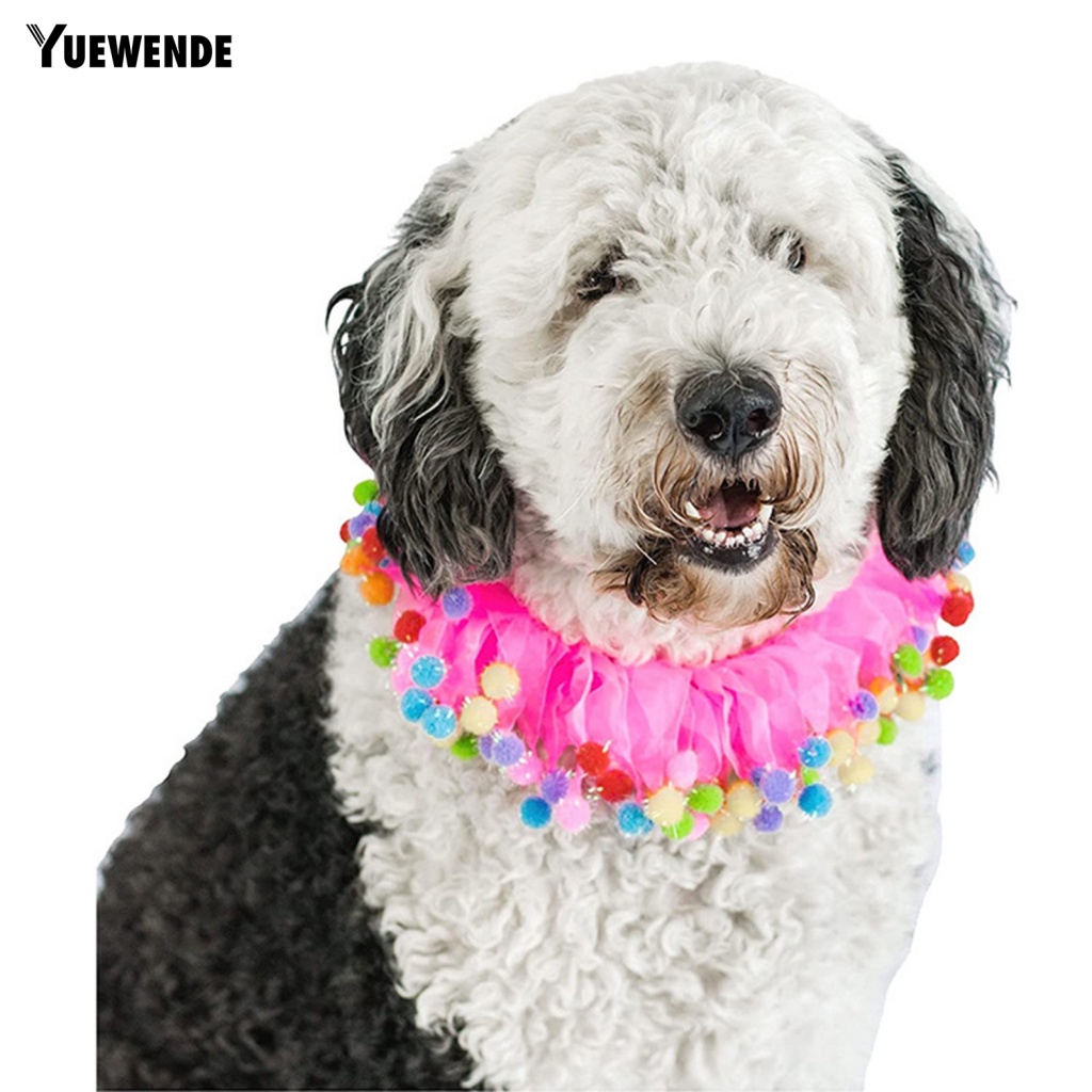 Vòng Đeo Cổ Co Giãn Chống Cắn Dành Cho Thú Cưng