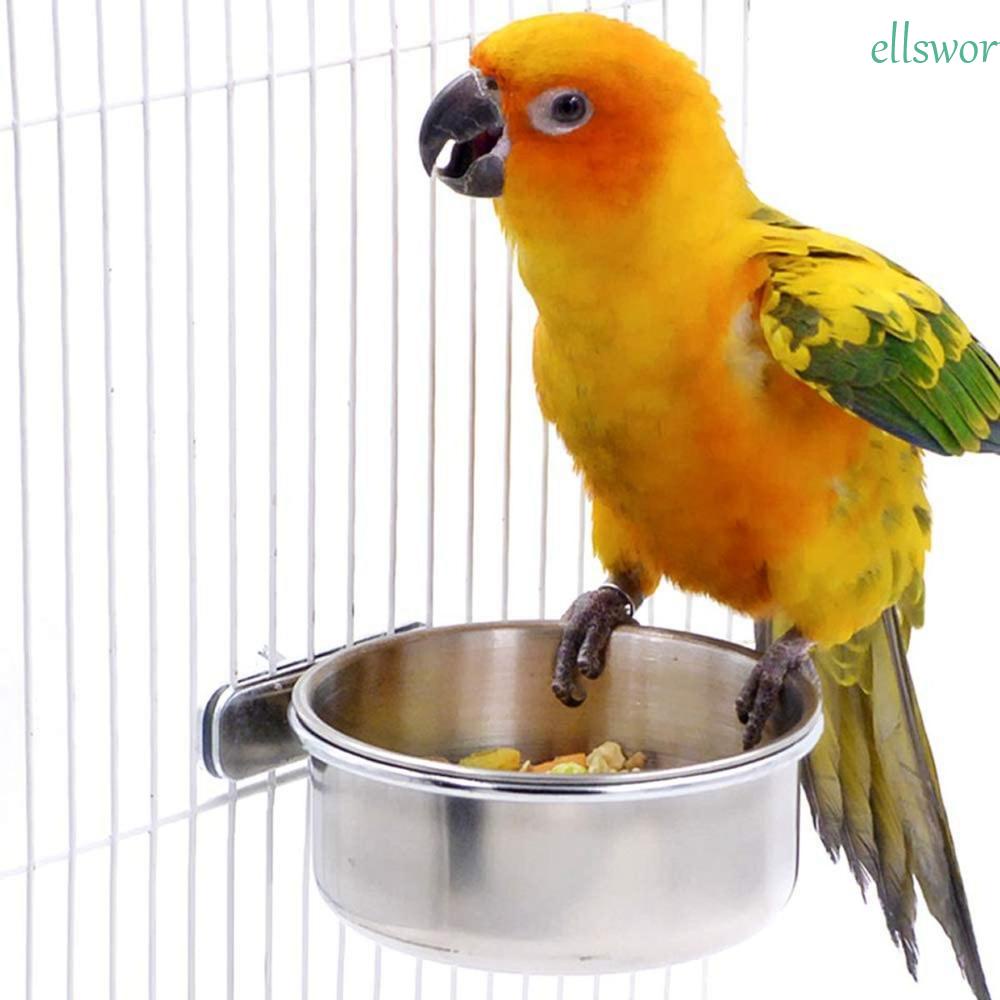 Dụng Cụ Cho Chim Ăn Bằng Thép Không Gỉ Tiện Dụng