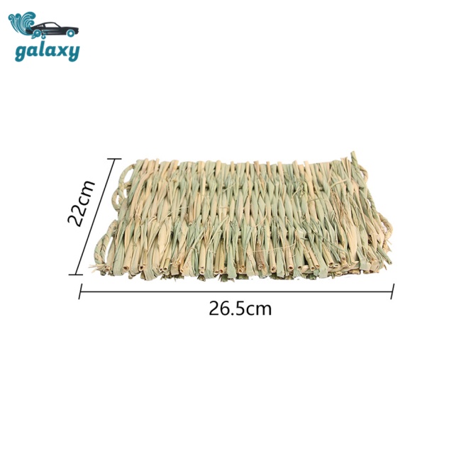 Galaxy Thảm Cỏ Đan Thủ Công Tự Nhiên Cho Hamster / Thỏ / Vẹt