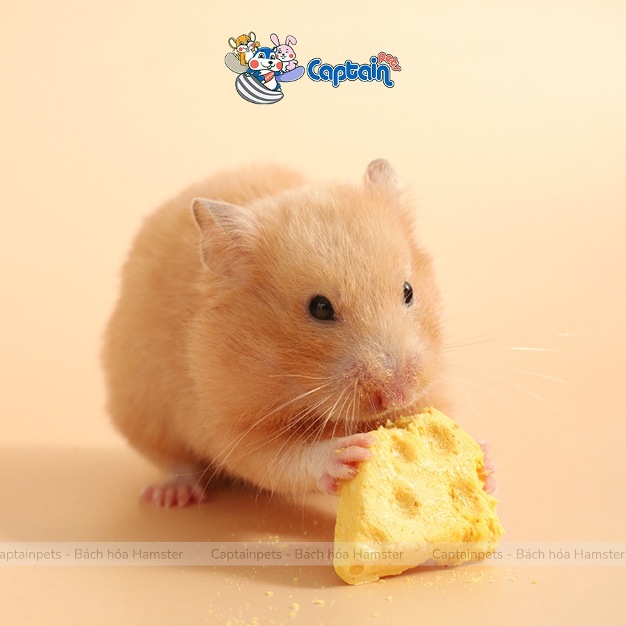 Viên phô mai thịt gà rau củ mài răng cho Hamster
