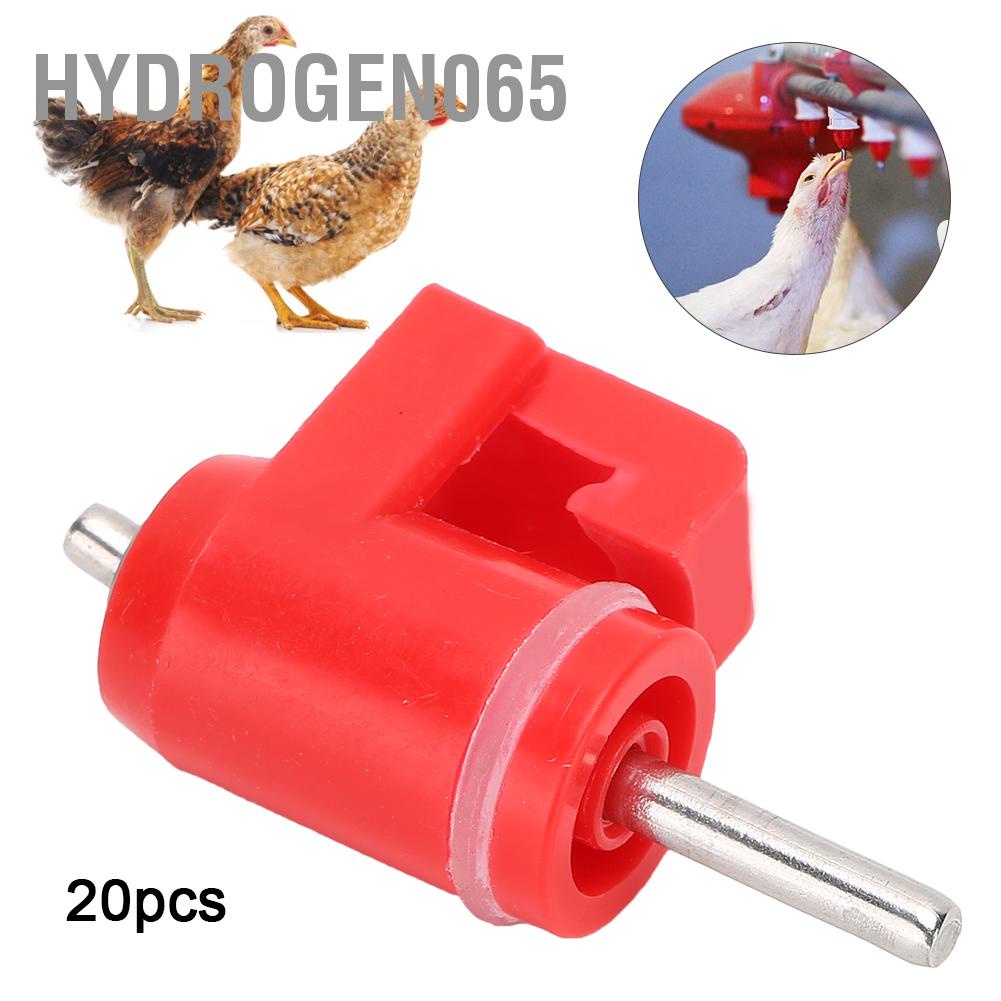 Hydrogen065 20 Con Gà Nước Núm Vú Uống Ăn Tự Động Màu Đỏ Nhựa Gia Cầm Trang Trại Vật Tiếp Liệu