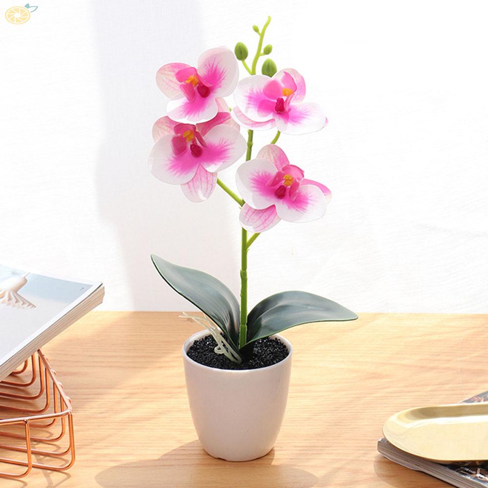 【VARSTR】Artificial Orchid ABS Material Orange-red Decorative Orchid Potted Orchids