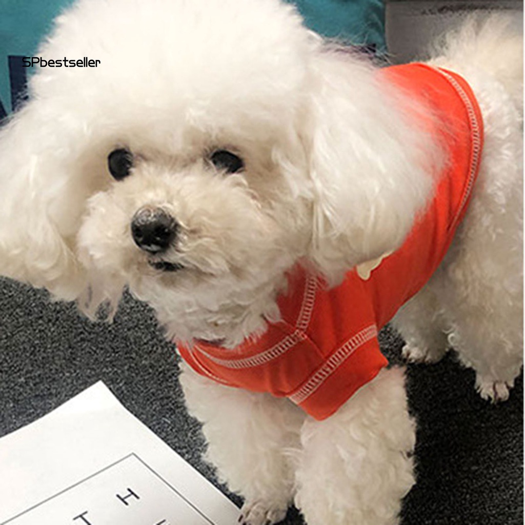 Áo Thun Cotton Cổ Tròn In Hình Cún Cưng Dễ Thương Dành Cho Cún Cưng