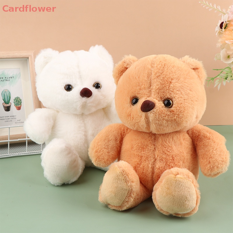 Gấu Nhồi Bông 22CM Đáng Yêu Cho Bé Mới