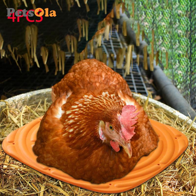 Set 4 Đệm Hộp Đựng Trứng Gà Koolsoo21 Tiện Dụng