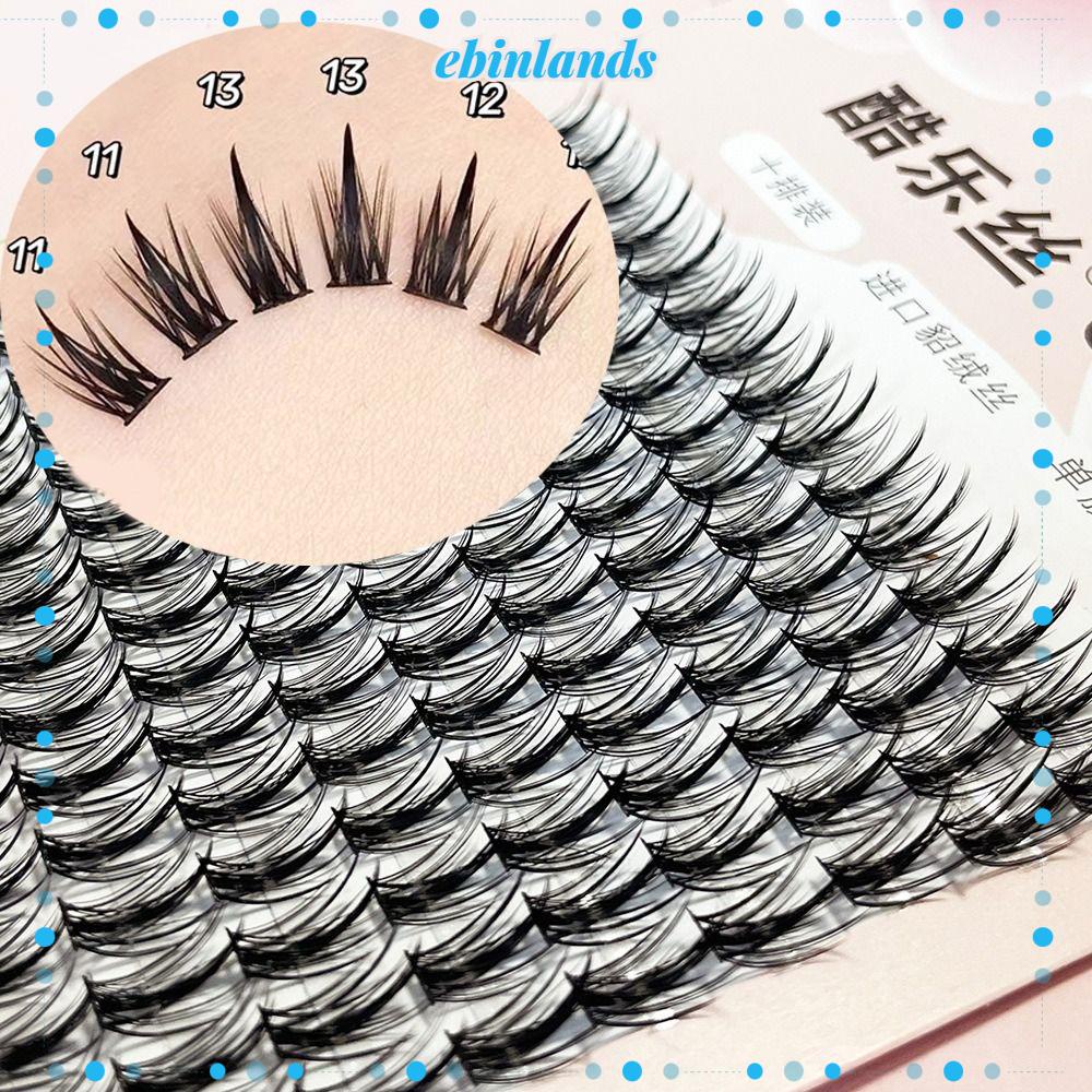 Hộp Lông Mi Giả 10 Hàng Hiệu EBINLANDS