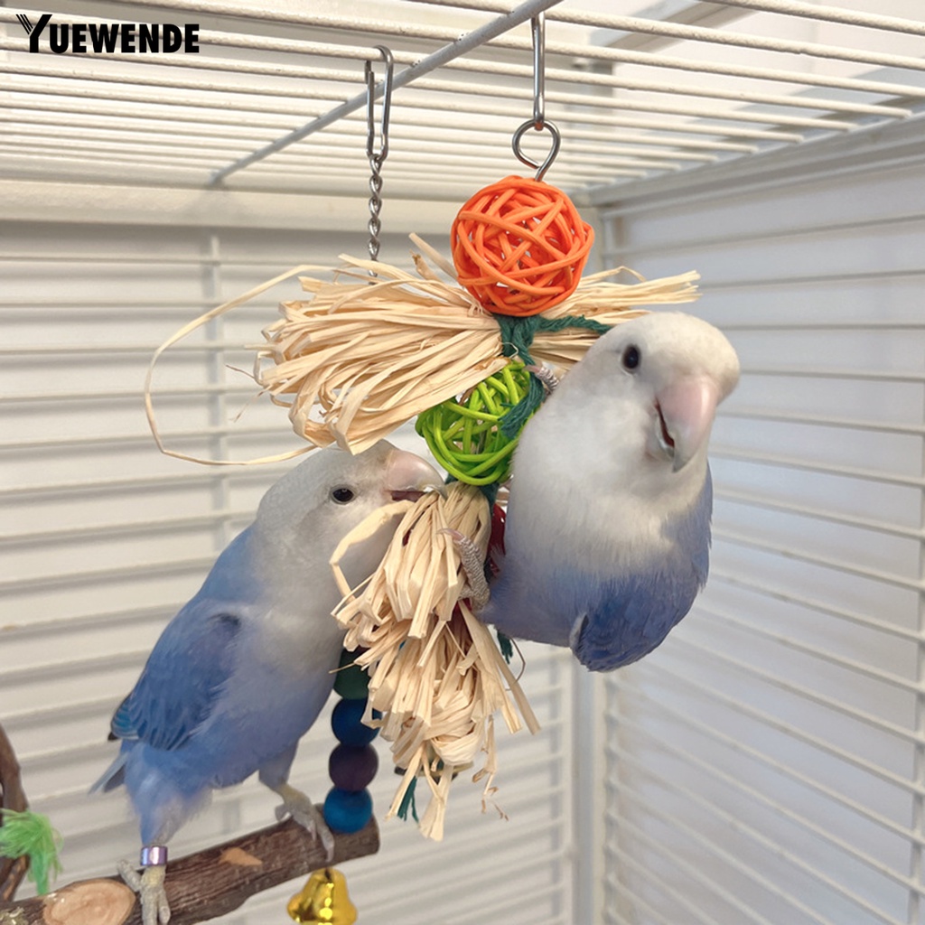Đồ Chơi Mài Răng An Toàn Cho Chim Cảnh