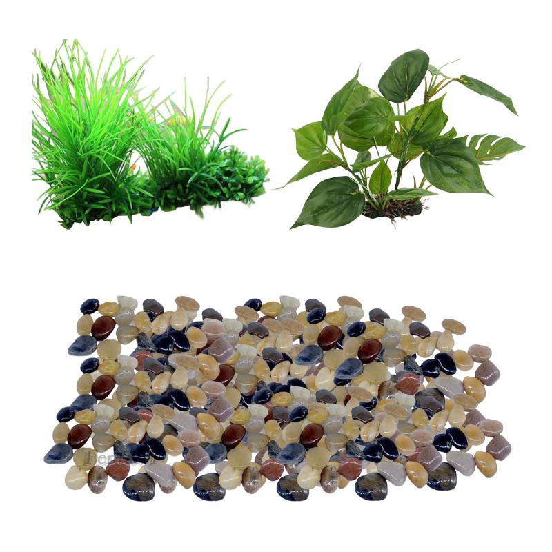 1 Cây Cảnh Ẩn Đường Đi Trang Trí Bể Cá