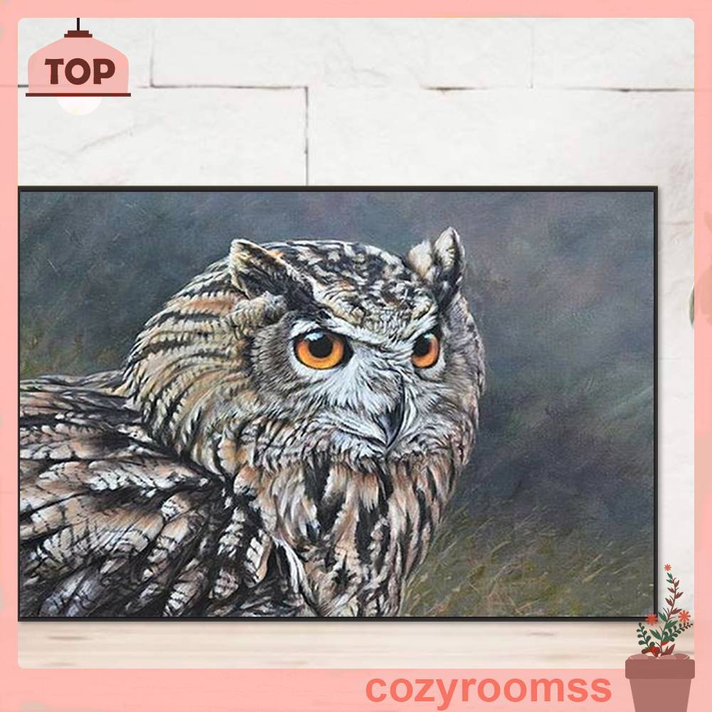 Tranh Đính Đá Kim Cương Toàn Bộ 5D DIY Hình Vẽ Con Cú