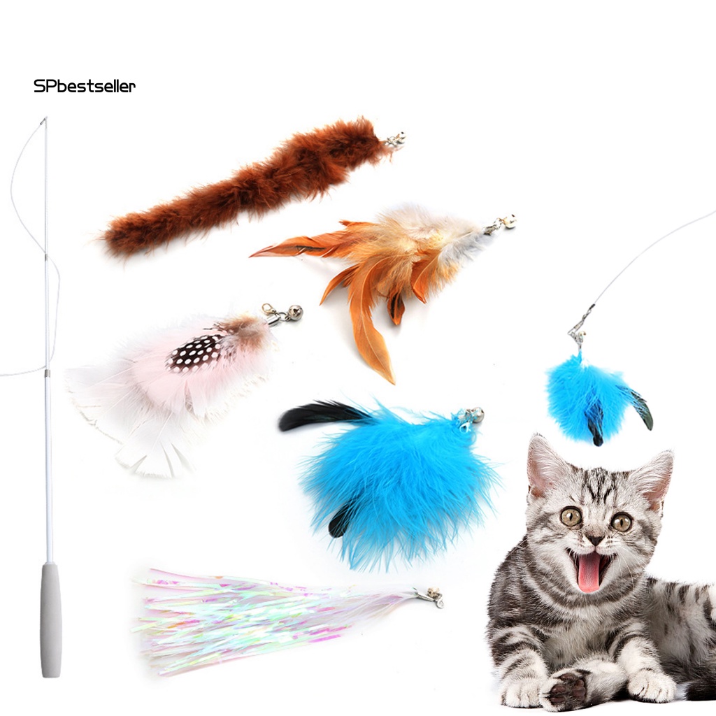 1 Bộ Đồ Chơi Que Lông Vũ Với 5 Que Thay Thế Cho Mèo Cưng
