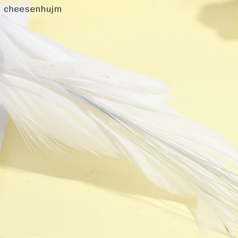 Kẹp Cây Hình Lông Vũ / Chim Lấp Lánh Độc Đáo Trang Trí Nhà Cửa Diy