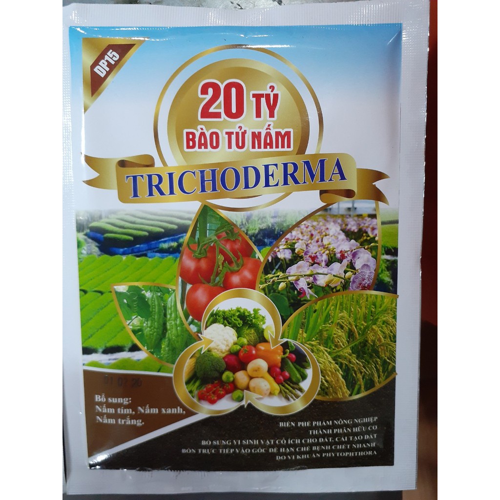 CHẾ PHẨM TRICHODERMA 20 TỶ BÀO TỬ GÓI 100G - GIÚP PHÒNG CHỐNG CÔN TRÙNG, NẤM BỆNH