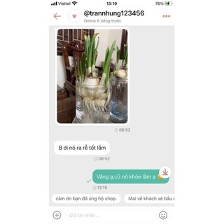 Củ hoa thủy tiên nước