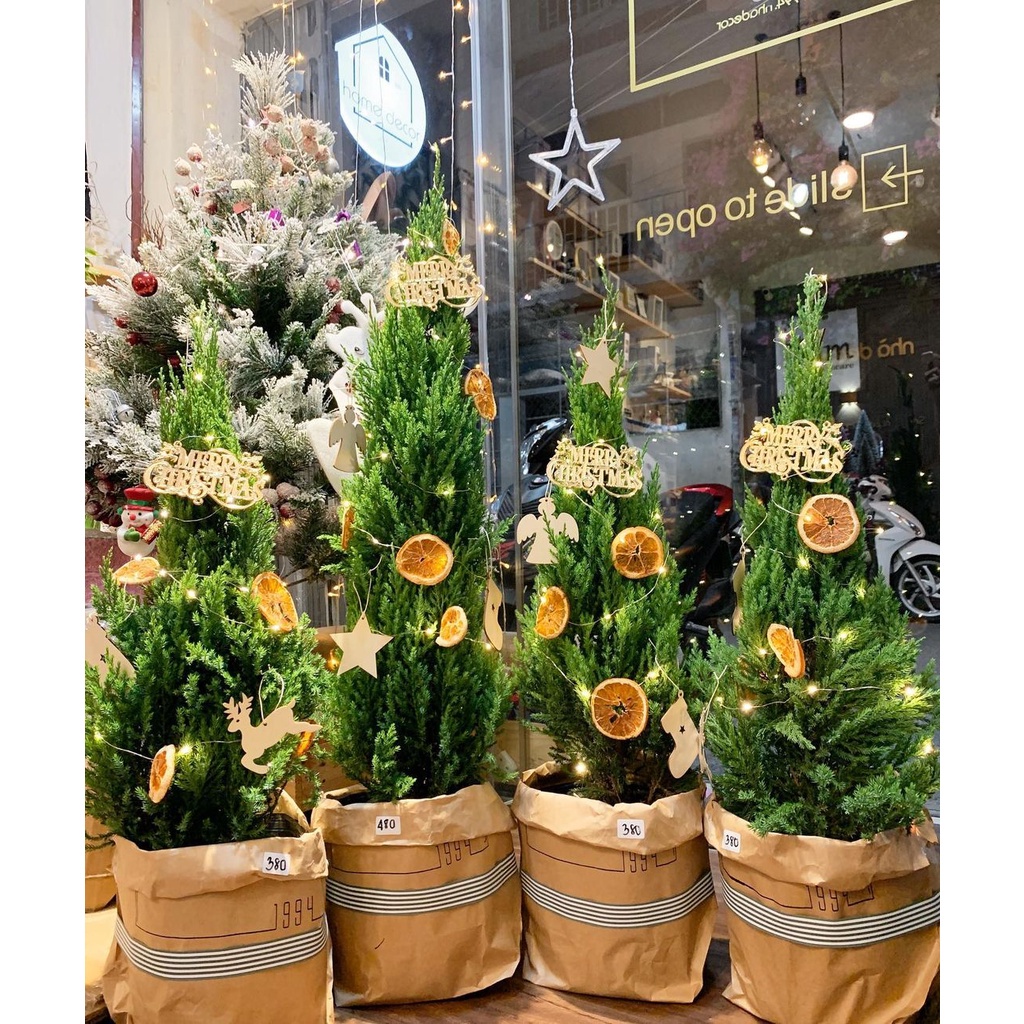 SET CAM SẤY KHÔ, THANH QUẾ, QUẢ THÔNG KHÔ, CHÙM ĐÀO ĐÔNG, HỘP QÙA, THẺ TAG, THỆP- TRANG TRÍ NOEL,GIÁNG SINH, ĐỒ HANDMADE