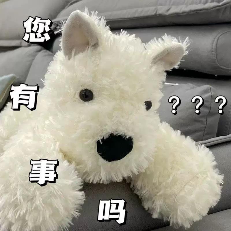 Thú Nhồi Bông Hình Chú Chó Ragdoll Đáng Yêu