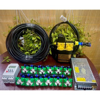 Bộ phun sương tưới lan, cây cảnh tự động - bơm đôi kèm vòi phun sương và timer hẹn giờ