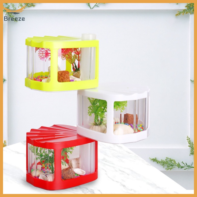 Hộp Đựng Côn Trùng Mini Trong Suốt Có Nắp Đậy Phù Hợp Cho Văn Phòng / Phòng Khách / Bàn Cà Phê