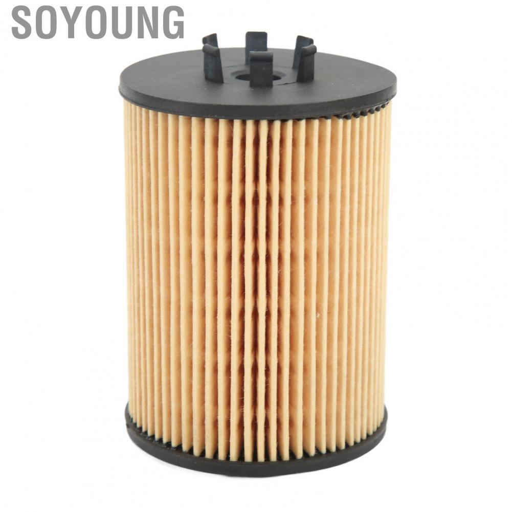 Soyoung 11427511161  Stable Performance Clean Impurities Engine Oil Filter Easy To Install for E53 E60 E63 E65 E66