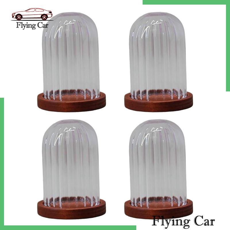 [Lzdjfmy2] Lọ Thủy Tinh Hình Mái Vòm Nhỏ Trong Suốt DIY Trang Trí Phong Cảnh