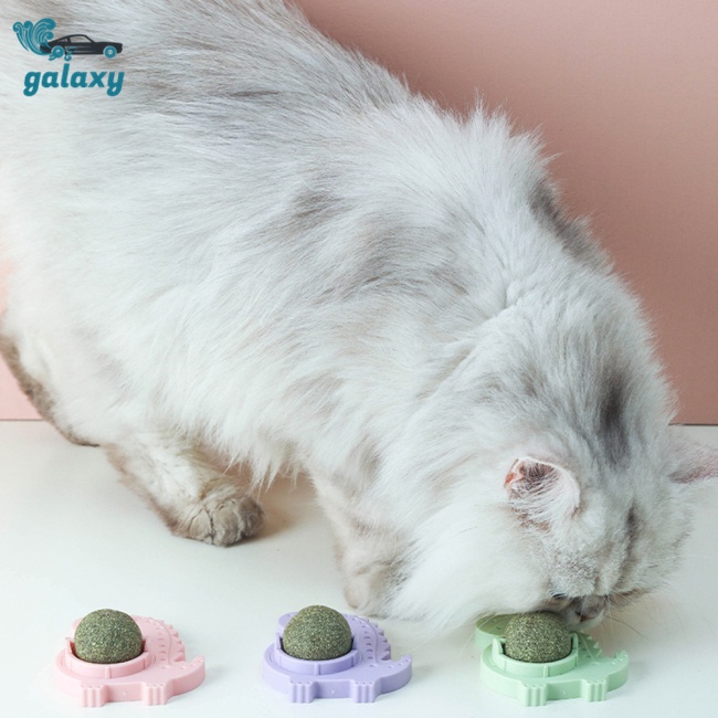 Galaxy Quả Bóng Catnip Bạc Hà Đồ Chơi Cho Mèo