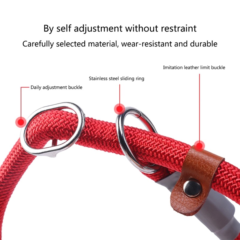 Dây Dắt Chó Phản Quang Hình Chữ P 5Ft