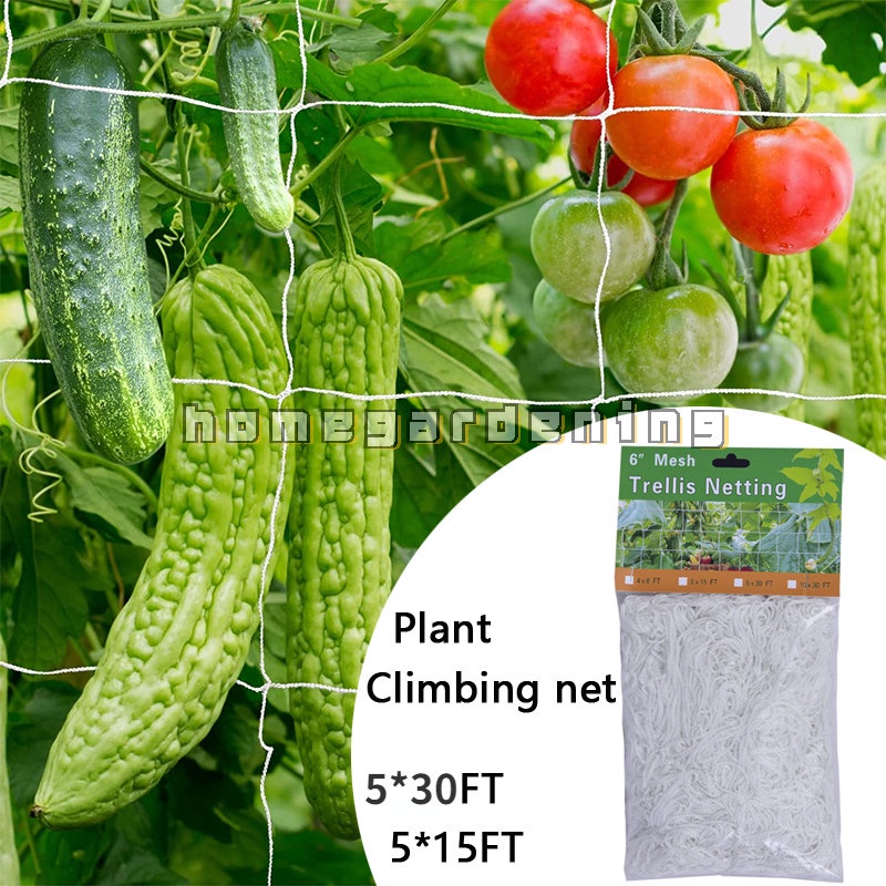 Lưới Polyester 5x15 / 5x30FT Hỗ Trợ Trồng Cây Dây Leo